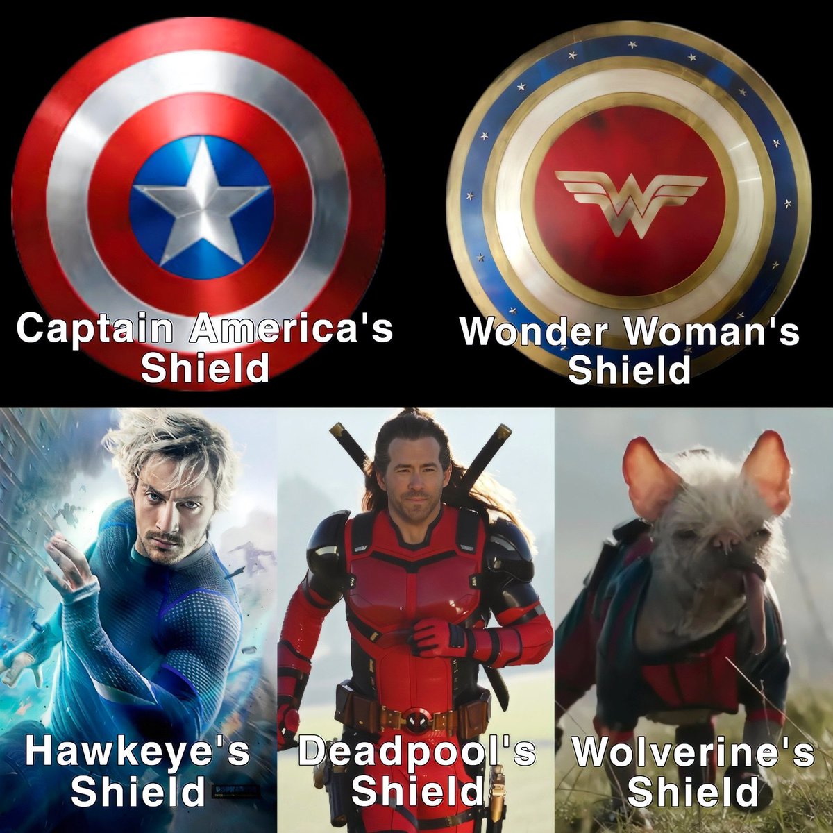 Marvel Memes (@marvei_memes) on Twitter photo 