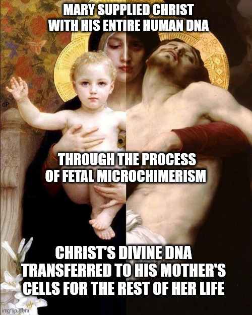 SolitudeLight3's tweet image. Without Mary, there could not have been The Incarnation.
Without The Mother of God, The Word could never have been made Flesh and dwelt among us.
Without Mary, The New And Everlasting Covenant had no Ark in which to conceive God and carry God into Life in this mortal plane.