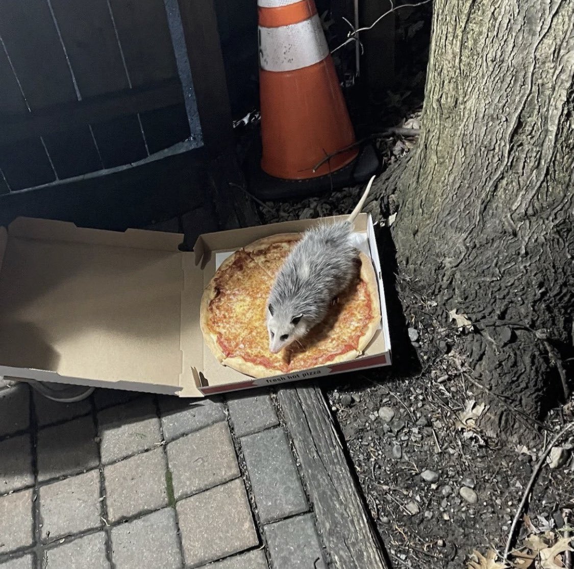 I call it Himalayan Pizza cuz him a-layin’ on my pizza