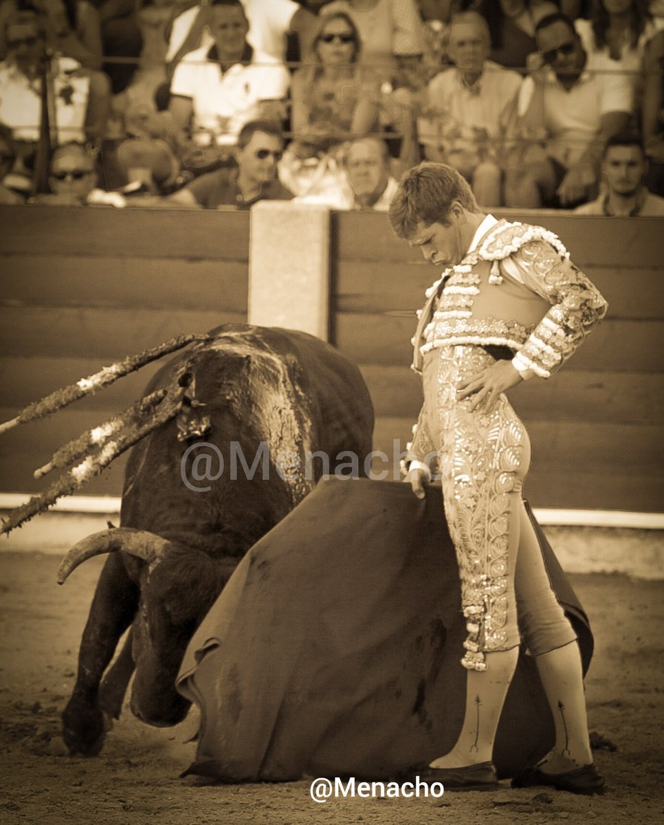 objetivoeltoro's tweet photo. 🔴 GUIJUELO 🐂 
#BorjaJimenez corta una oreja tras una faena asentada y ligada a noble #Vellosino 
@torosguijuelo @jicascon https://t.co/ErLVIuF3e8