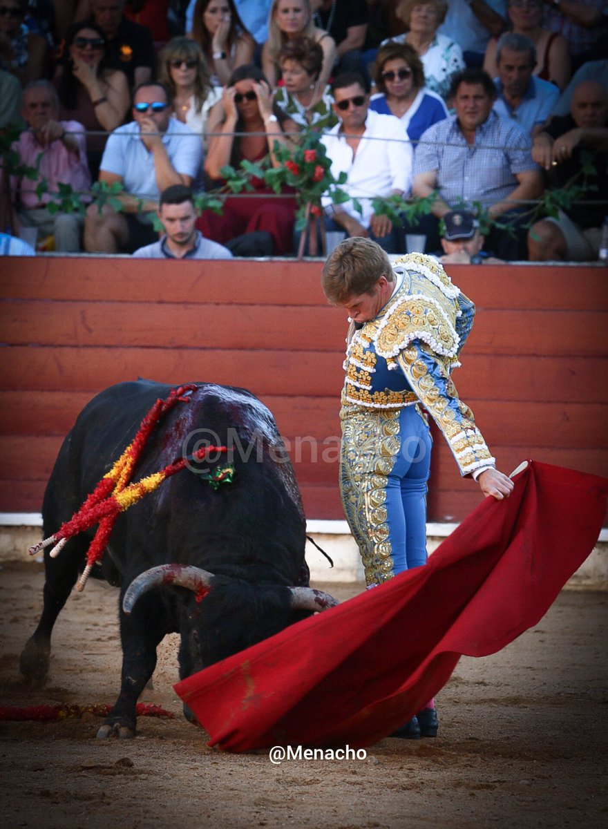 objetivoeltoro's tweet photo. 🔴 GUIJUELO 🐂 
#BorjaJimenez corta una oreja tras una faena asentada y ligada a noble #Vellosino 
@torosguijuelo @jicascon https://t.co/ErLVIuF3e8