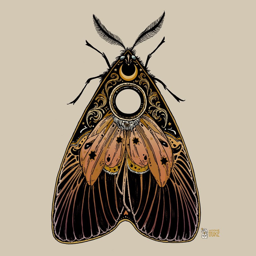 Moth planchette | recently added some color for fun