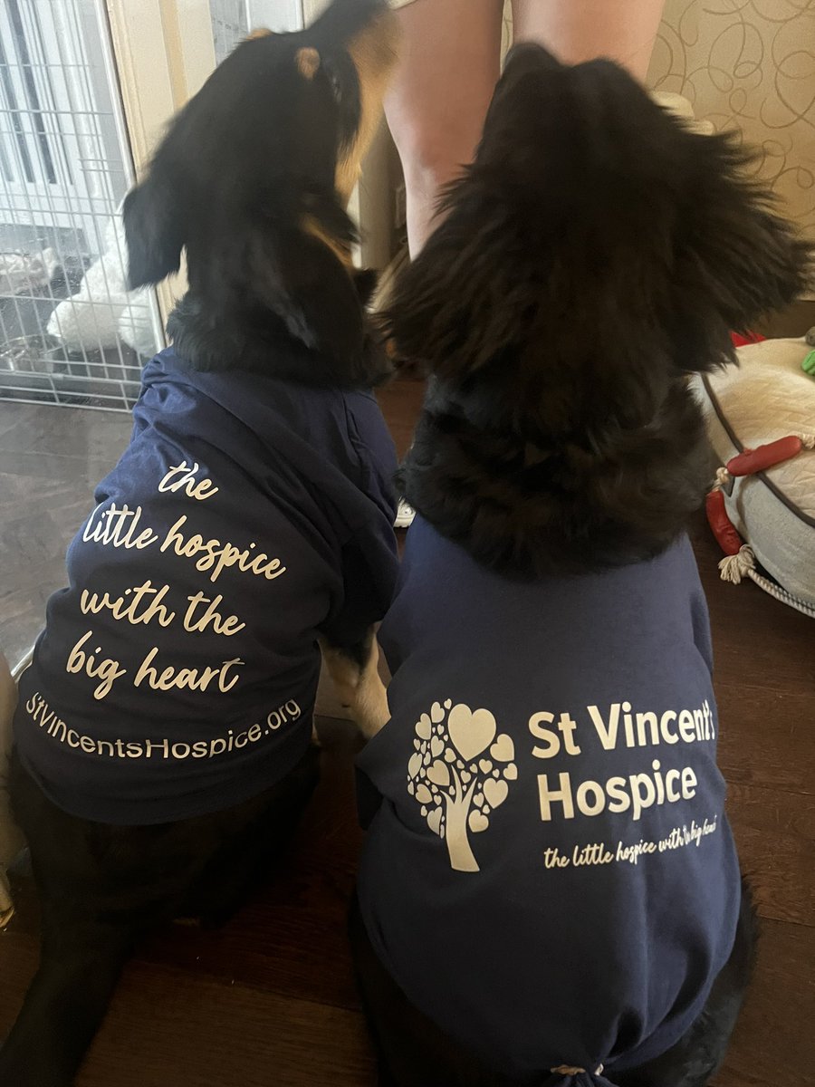 🐾 Daisy and Dolly, are all set for tomorrow's <a href="/StVincentsHosp/">St. Vincent's Hospice</a> Forget-Me-Not Memory Walk! 🐕‍🦺

We're so excited to join for a morning filled with love, memories, and a shared purpose 💙

#MemoryWalk #Memories #Hospice #NorthAyrshire #Renfrewshire #TheLittleHospiceWithTheBigHeart💙