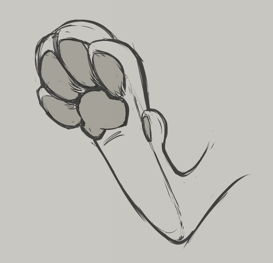 On Saturday we post paws 🐾🎉