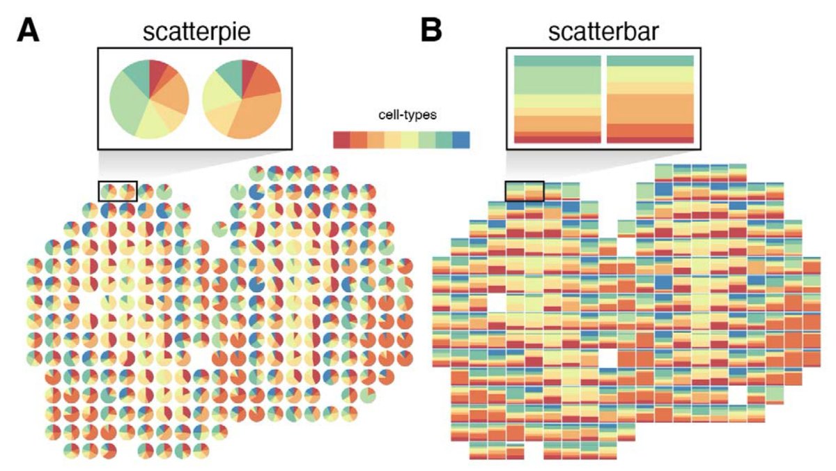 scatterbar: an R package for visualizing proportional data across spatially resolved coordinates biorxiv.org/content/10.110…