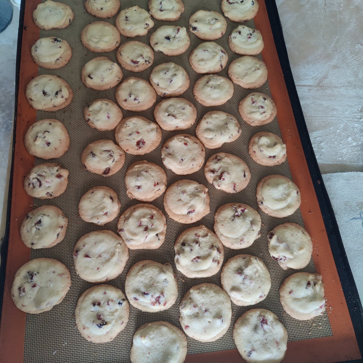 br72stof's tweet photo. Munt en veenbessen koekjes https://t.co/QQRNGhLU6h