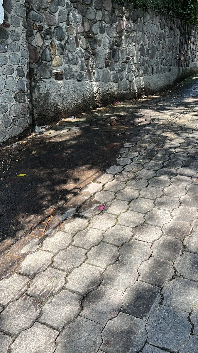 quetzali2's tweet photo. Fuga de agua potable en 1er cerrada de las flores, Tetelpan, Álvaro Obregón URGENTE reparar @AlcaldiaAO @SacmexCDMX @NoMasCondosAO  #fugadeagua https://t.co/M5IbuRMJ6g