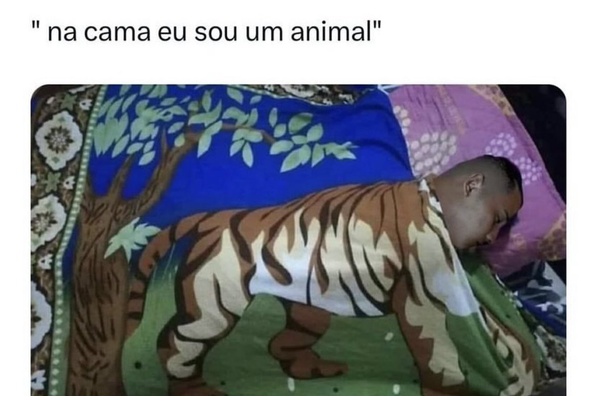 shitpostverdade's tweet photo. https://t.co/aYHCmj1kxj