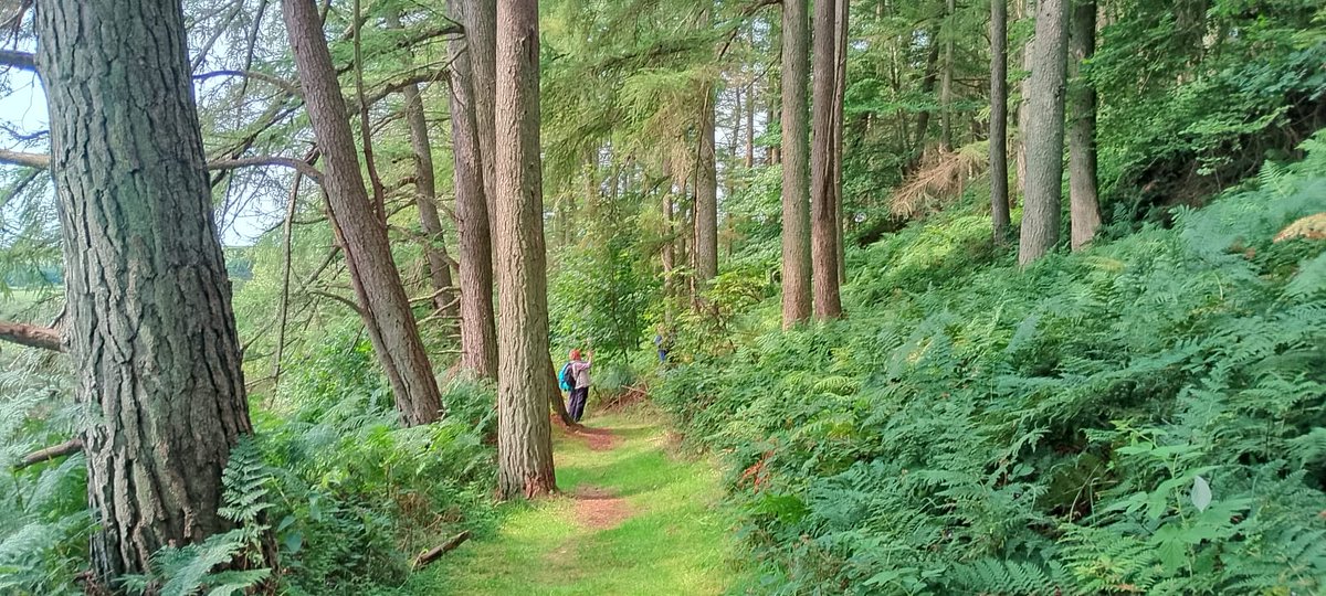EildonRamblers's tweet photo. 5 walkers enjoyed a pleasant 7 mile walk along Whiteadder Water from Abbey St Bathan's to Elemford Bridge, where lunch was enjoyed sitting under the bridge. The return followed the Southern Upland Way back to the start where the walkers all enjoyed coffee and cake in the café https://t.co/xwnz1YOPbN