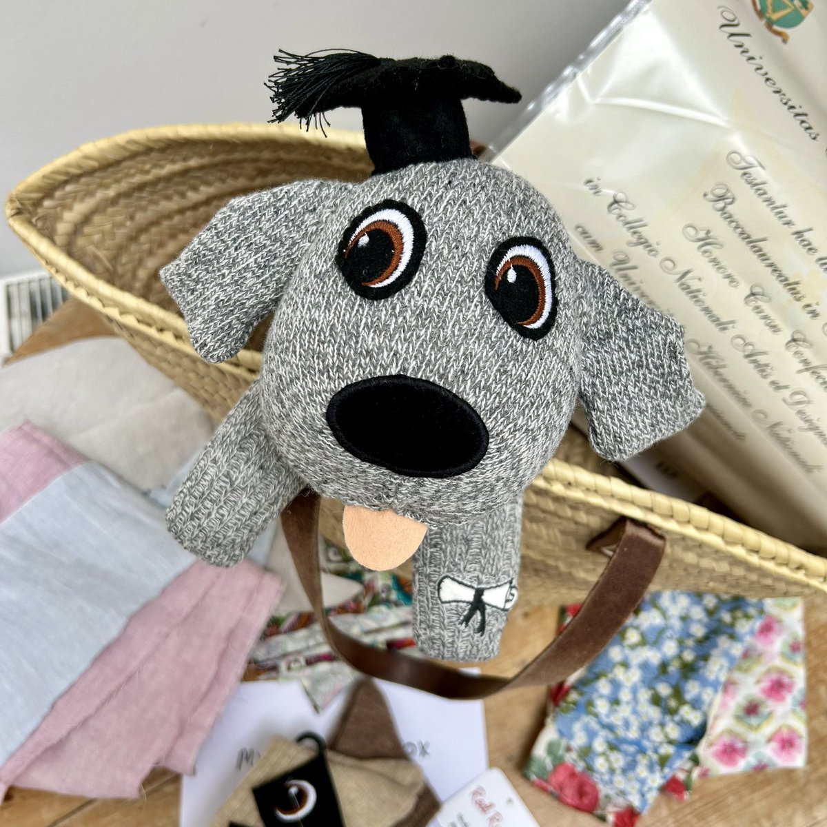 RedRufusDublin's tweet photo. SockDogs and other animals - handmade by me! 

You can personalise them to make an extra special gift.  

#janegoodleysharemyart 
#redrufus 
#handmadegift https://t.co/PObQvrKesB