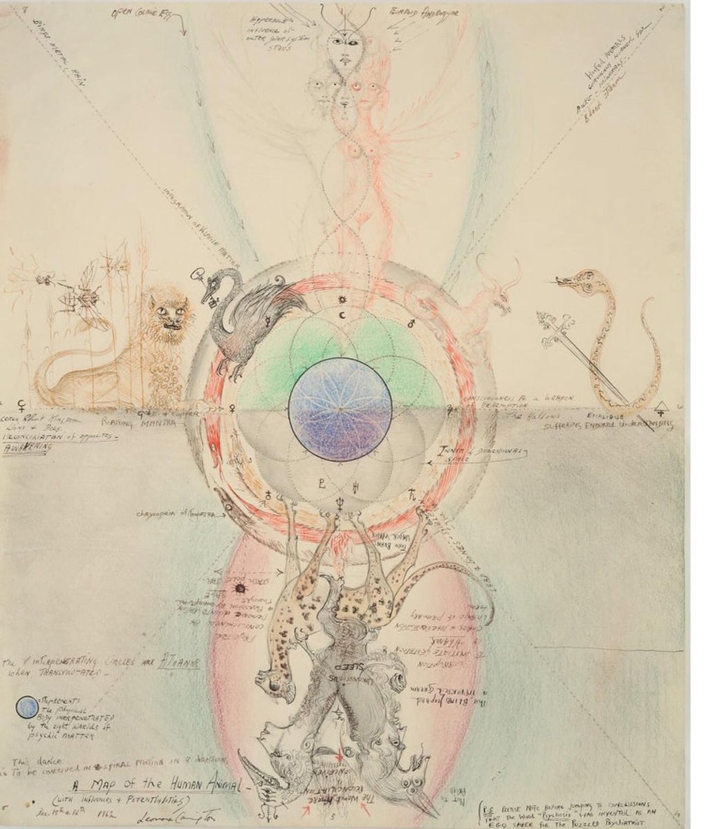 Alina Stefanescu tweet media