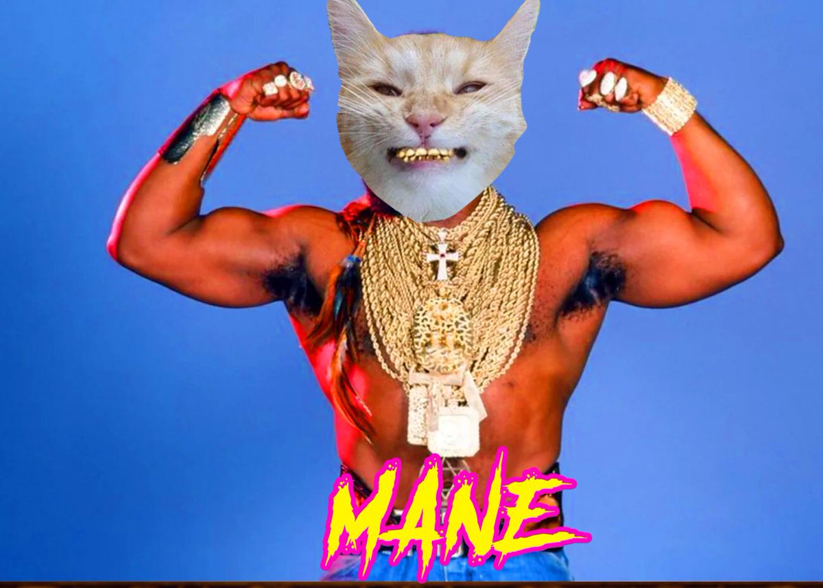 GMRxSOL's tweet photo. Gmane Mfzzz https://t.co/ZRgoTQnMPo