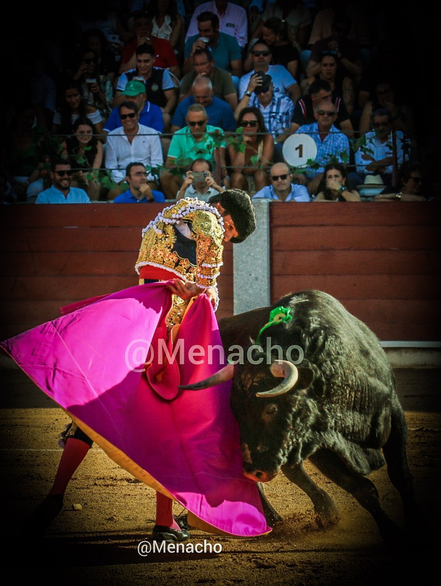 objetivoeltoro's tweet photo. 🔴 GUIJUELO 🐂
#EmiliodeJusto le corta las orejas tras cuajar por los dos pitones a “Pesado”, un toro de #Vellosino extraordinario premiado con la #vueltaalruedo para el que se pidió el indulto. https://t.co/UB8qMLbxbq