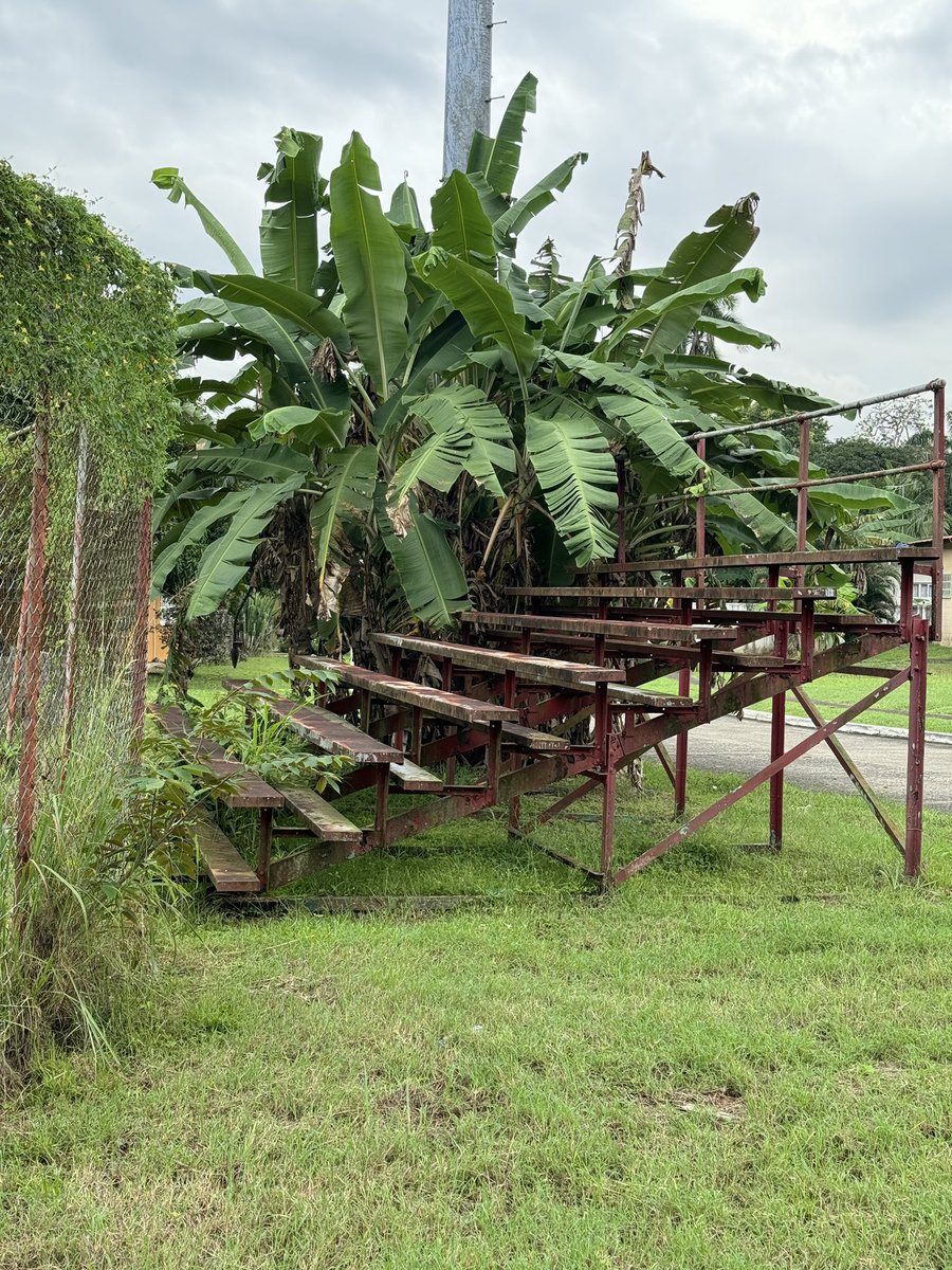 Edgardo Vidal tweet media