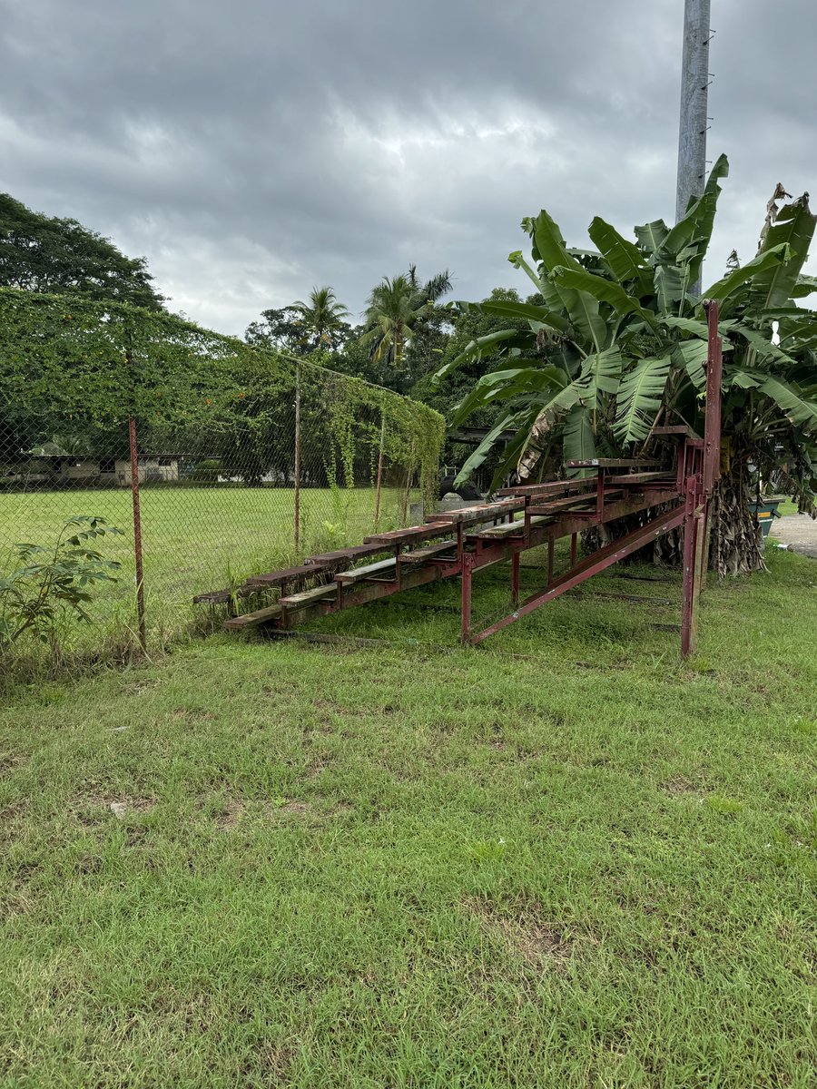 Edgardo Vidal tweet media