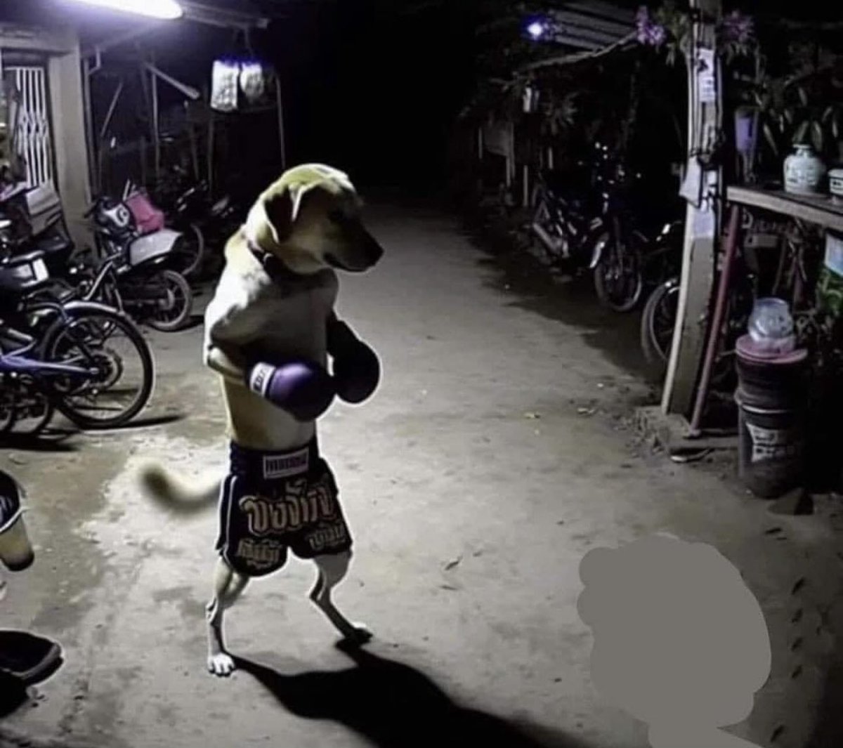 Hoodville_'s tweet photo. me at 3am after realizing i need to lock in https://t.co/NqKYob2egW