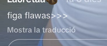giiraasol__'s tweet photo. una cosa el traductor aquest????? https://t.co/dbGej4sGPr