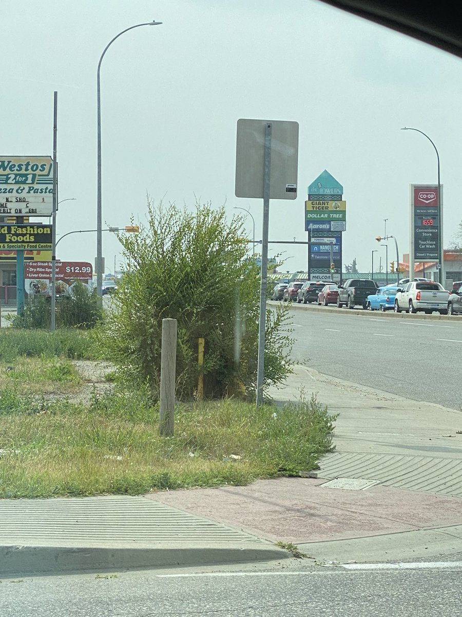 Brigitte Olsen tweet media