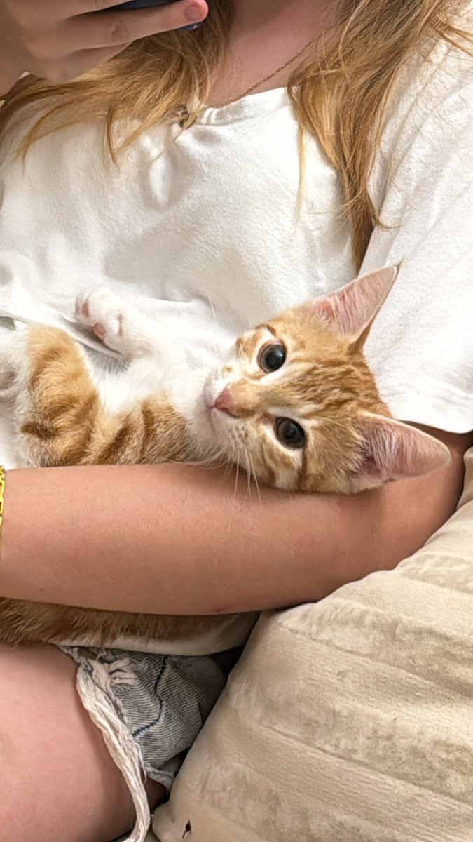 Lili (@lilikopan) on Twitter photo 