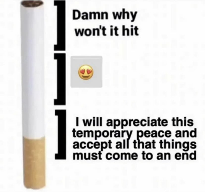 ✧ (@northstardoll) on Twitter photo 