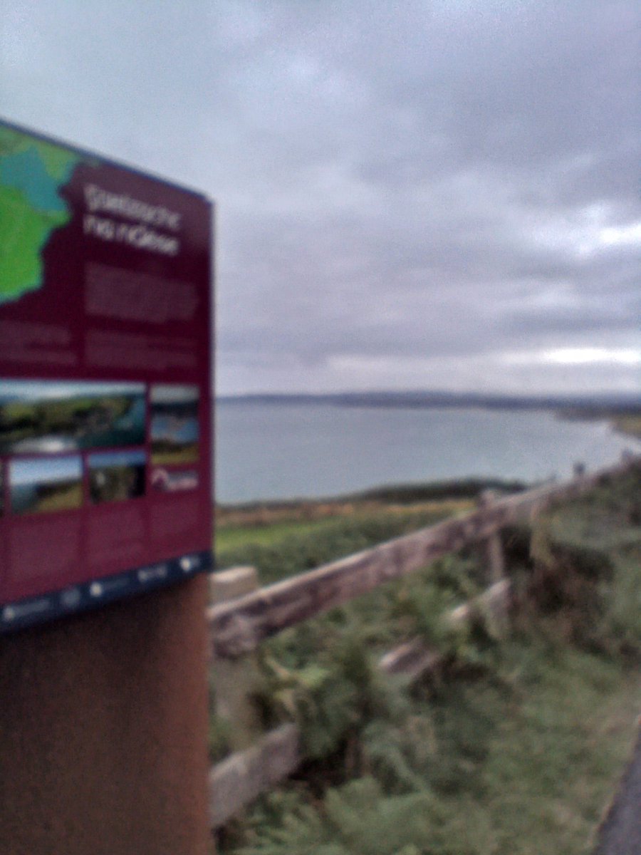 orlaspice's tweet photo. My new baby did 20km on Waterford greenaway today....I'm so proud..sob 😅
#trihub https://t.co/y9puAijTG4