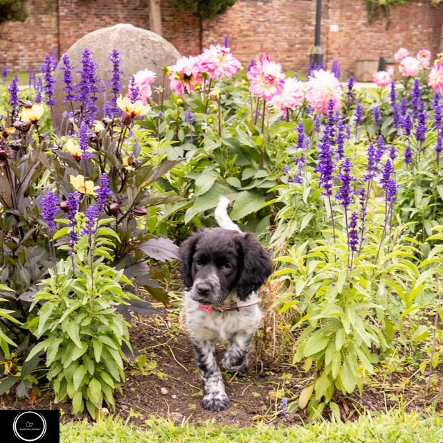 Sarah Stait tweet media