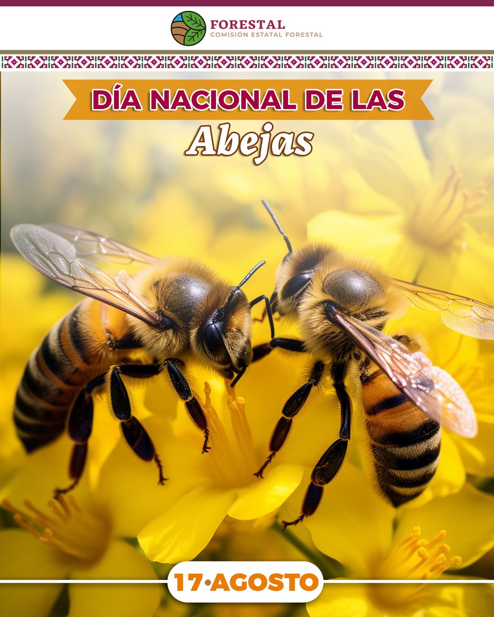 🐝 ¡Feliz Día Nacional de las Abejas! 🐝

Celebramos a estos importantes polinizadores responsables de la reproducción de muchas plantas y de mantener la diversidad de nuestra flora. 🌼🌲🌱