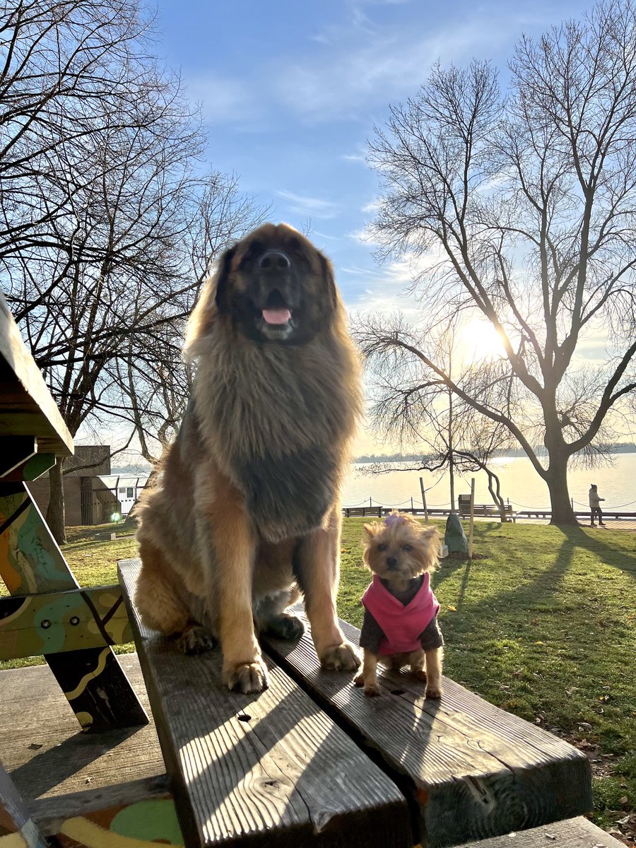 Leo Rautins tweet media