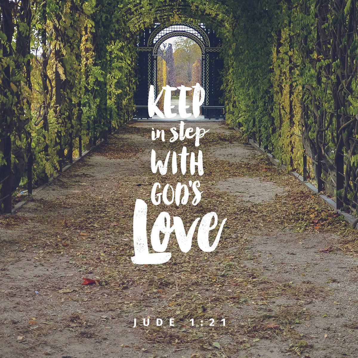 TORARADICAL's tweet image. #keepinstep #Godslove #Bible #Jude1v21