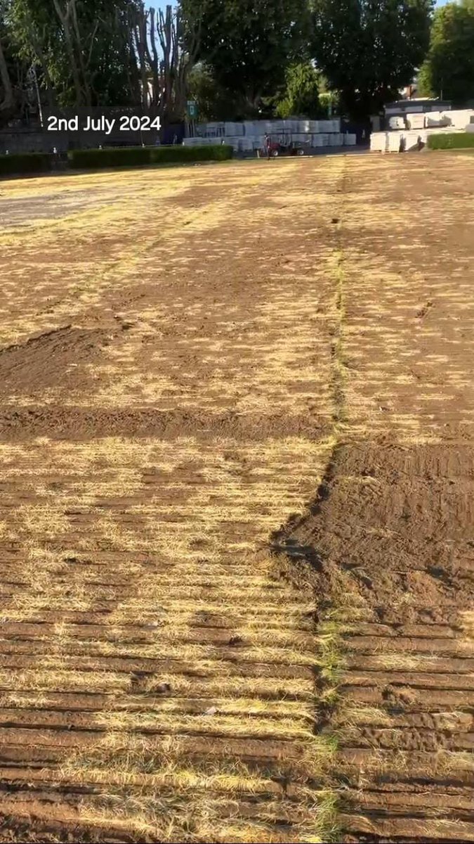 Richard Doyle tweet media