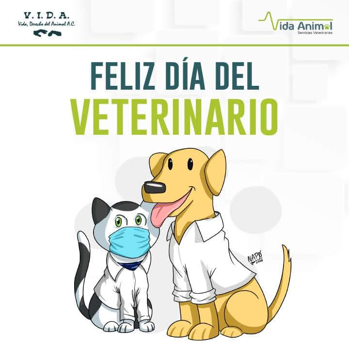 RubReza1's tweet photo. https://t.co/myRjrH3Qa7