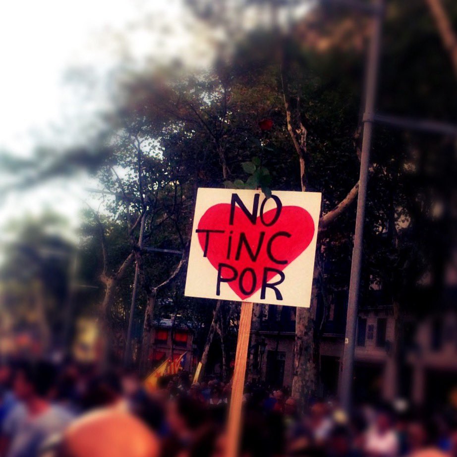 bdluis's tweet photo. 7 años de los atentados de Barcelona y Cambrils. 
 
Y el grito #notincpor cuando salimos todos y todas aún se escucha 🖤 https://t.co/iq7XeYYmZj