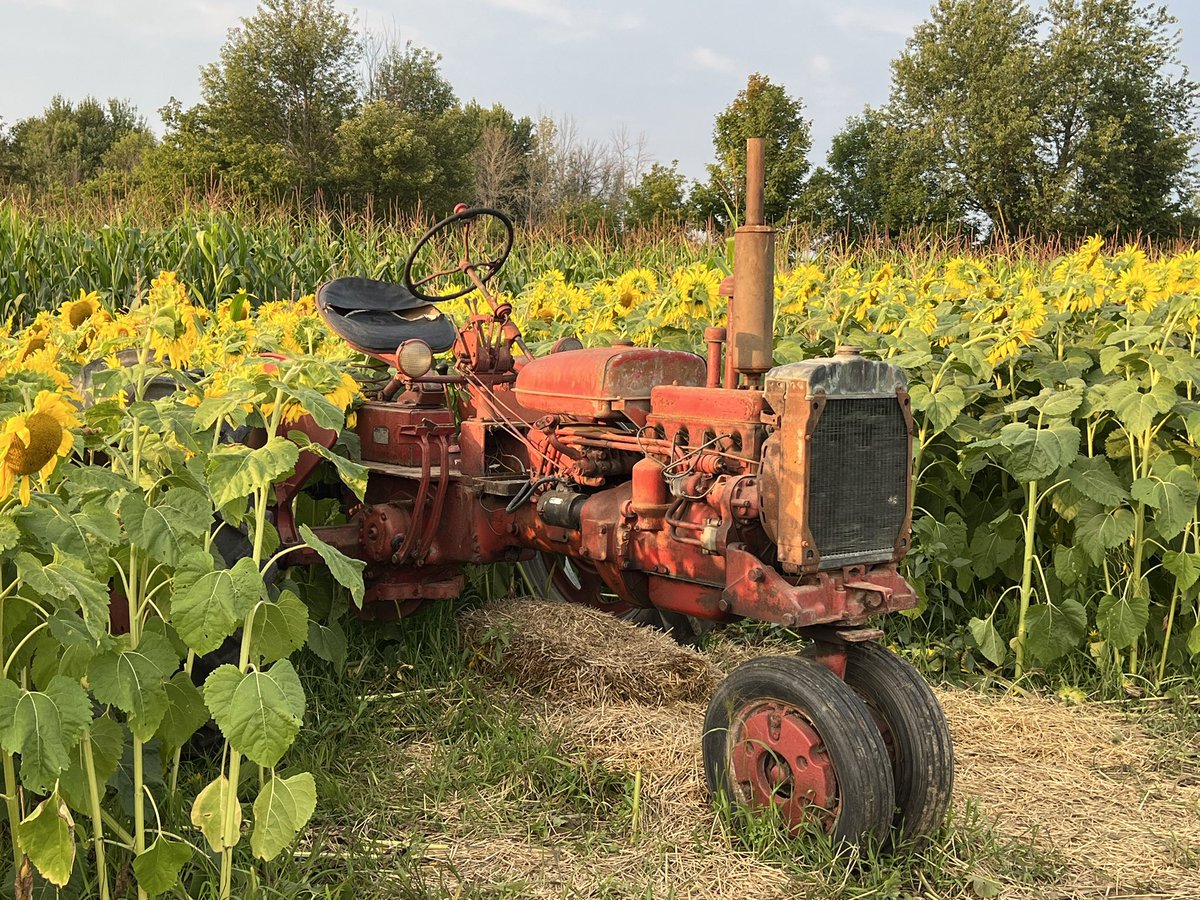 Sophie Pérusse ❤️🇨🇦🤍 ~ 💙🇺🇦💛 ~ 🤍🇬🇱❤️ tweet media