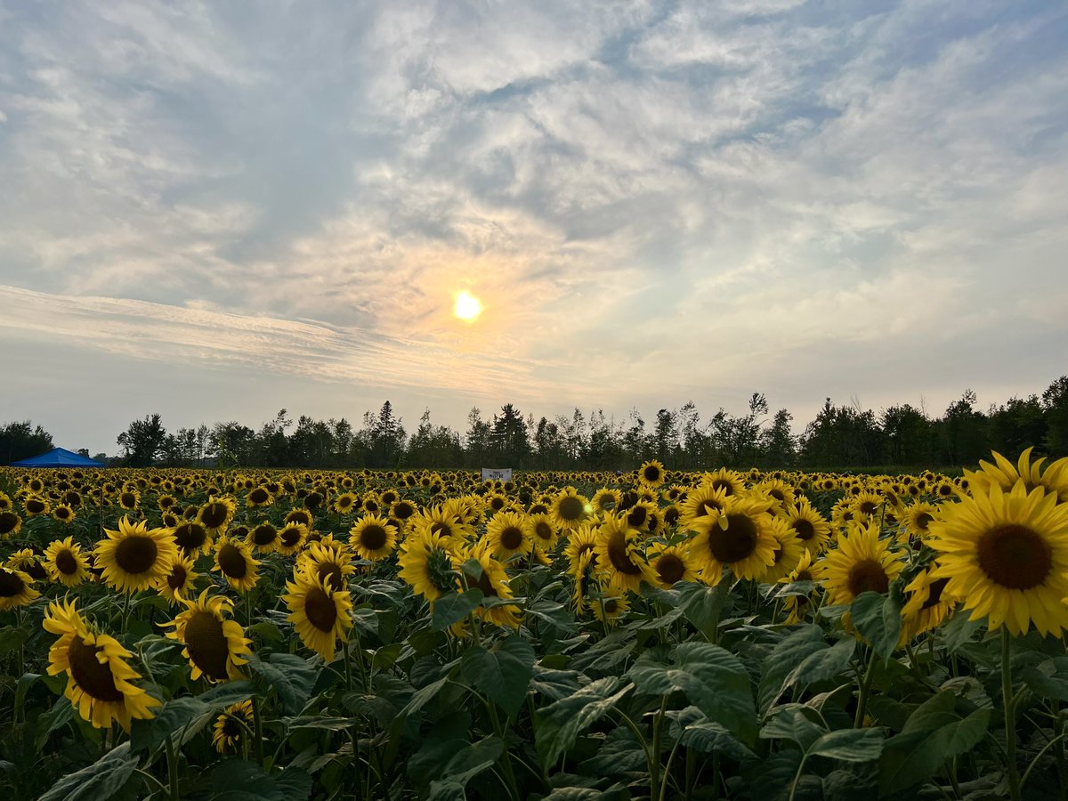 Sophie Pérusse ❤️🇨🇦🤍 ~ 💙🇺🇦💛 ~ 🤍🇬🇱❤️ tweet media