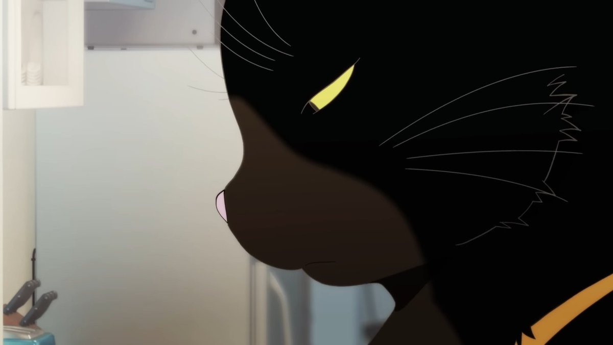 ⠀⠀⠀⠀⠀
                                          " 🐈‍⬛ "

                                    [ วันแมวดำ? ]
                                                  ⠀⠀⠀⠀⠀