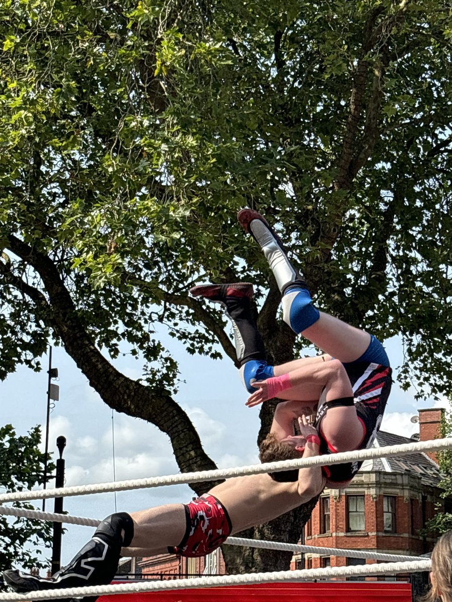 Shelb🐀 tweet media