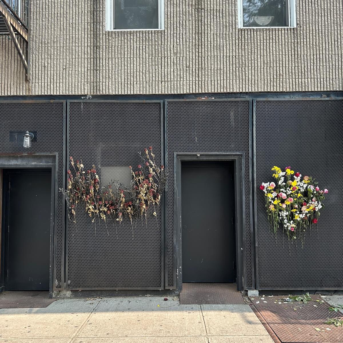 Damn… Sounds like Saint Vitus just completely Irish goodbyed us all 🪦