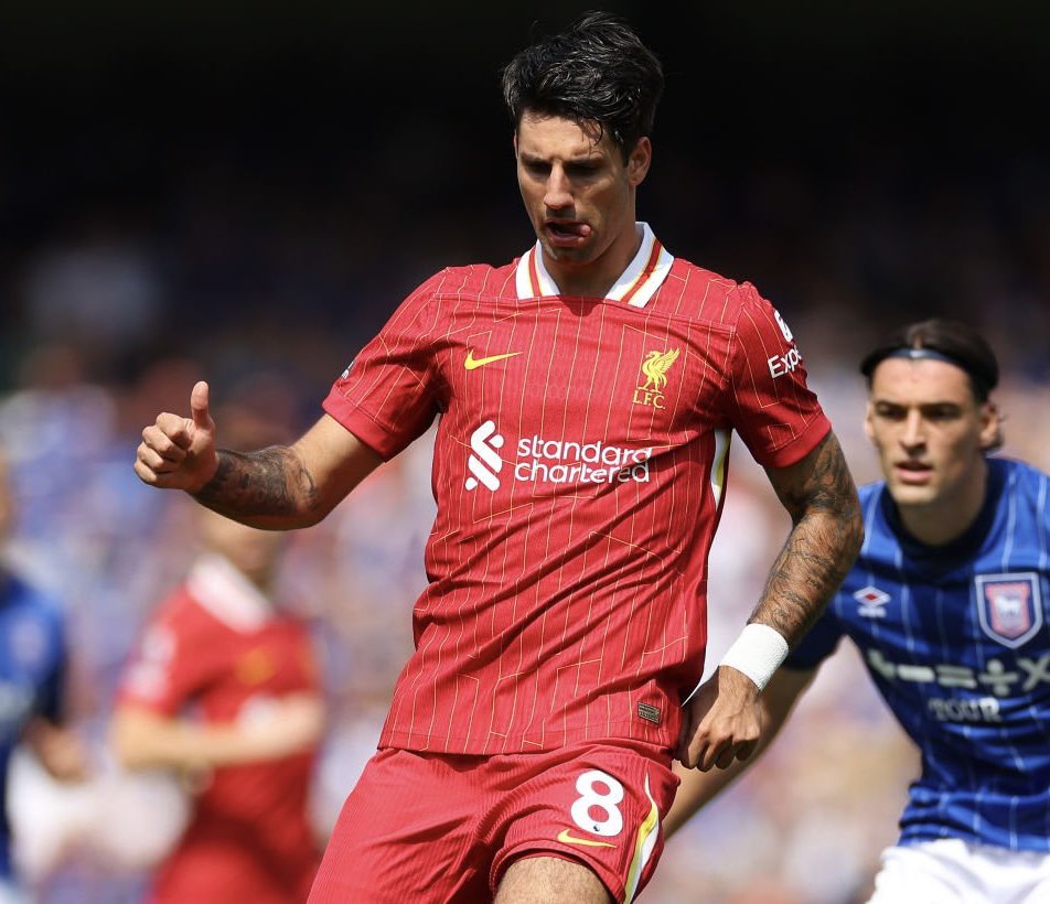 Bence Bocsák tweet media