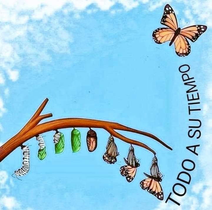 Todo a su tiempo.
🦋🐛🍃🌿🌾🐛🦋