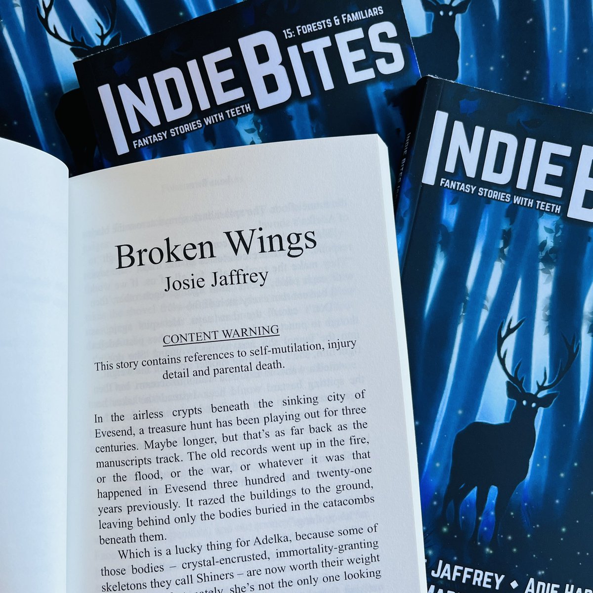 In the airless crypts beneath the sinking city of Evesend, a treasure hunt has been playing out for three centuries.
📖
Broken Wings by Josie Jaffrey @josiejaffrey is available to download FREE in the latest issue of Indie Bites!

silversunbooks.com/post/forests-f…