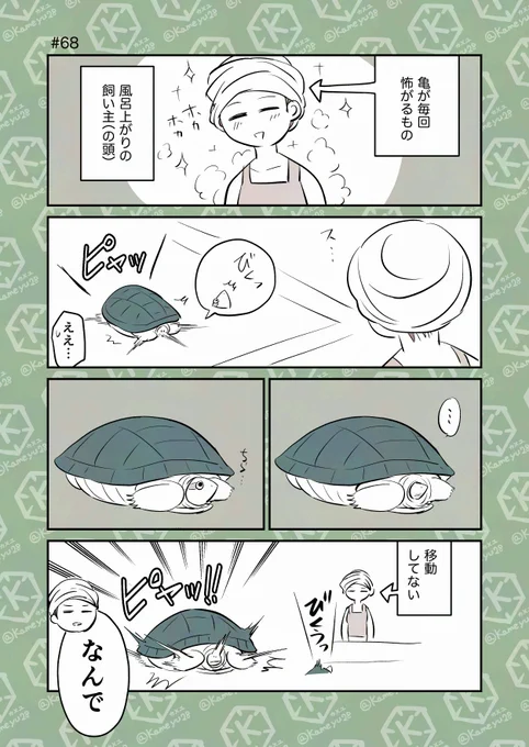亀飼い漫画「亀の恐怖」