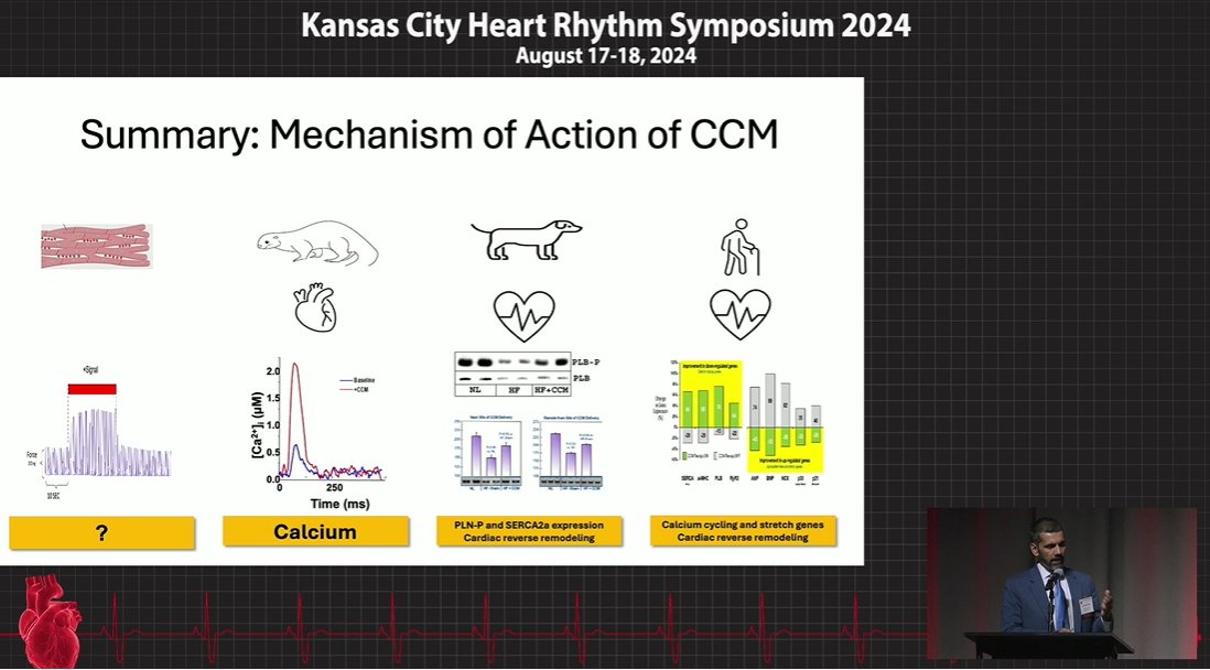 Role of Cardiac Contractility and Vagal Nerve Stimulation in Managing Patients with Heart Failure Dr. Rizwan Afzal #KCHRS24