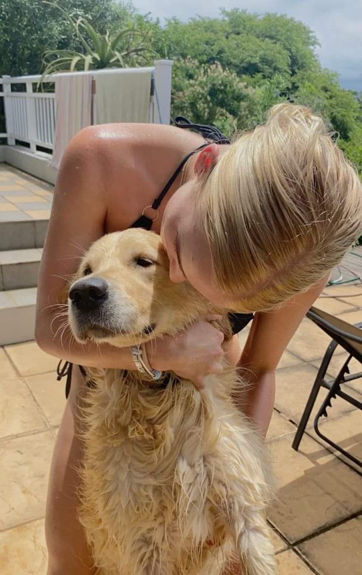 Happy Dog tweet media