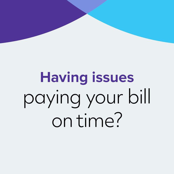 Quantum Fiber tweet media