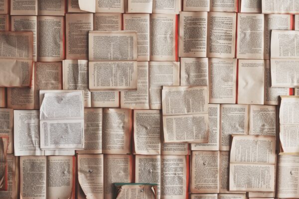 Allegra_Alpena's tweet image. Explore the power of storytelling with qualitative research! Go beyond data to capture real customer voices. Ready to craft print materials that resonate? Contact us! 📘💬 #Storytelling #Marketing #AllegraAlpena
More info: business2community.com/marketing/how-…