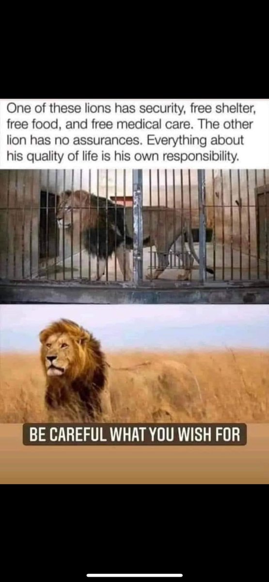 Michael (@mheck6769) on Twitter photo 