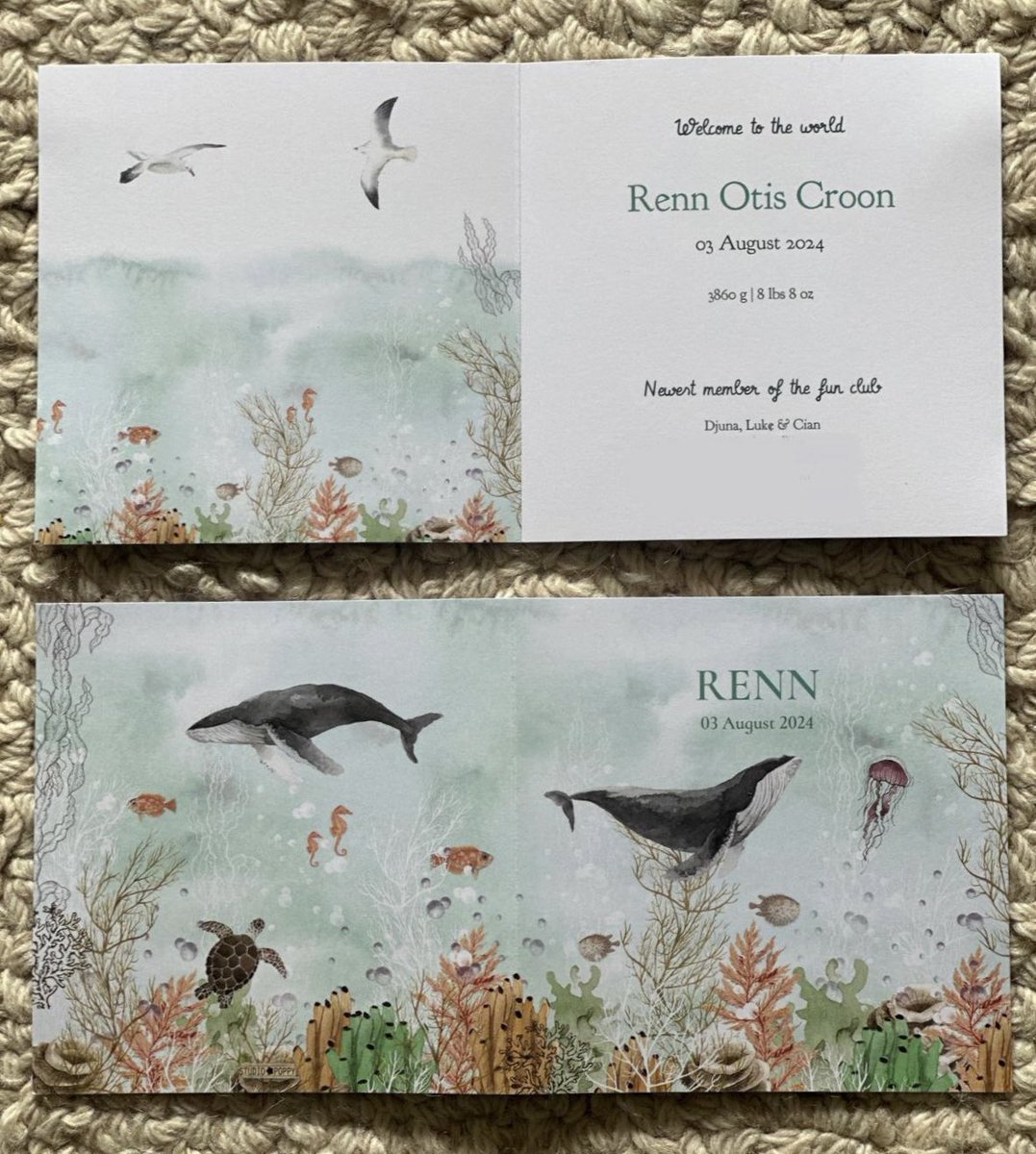 Djuna Croon tweet media