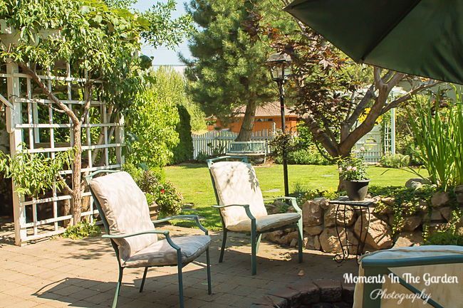 MomentsintheG's tweet image. My patio area.  Making the most of the Summer days.  #patio #augustgarden #seatingarea #outdoorfurniture #winebarrel #handingbasket #containers #shadyarea #firepit #momentsinthegardenphotography