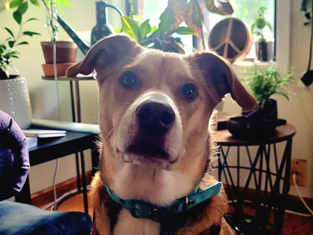 rebeKA ❤️‍🔥 tweet media