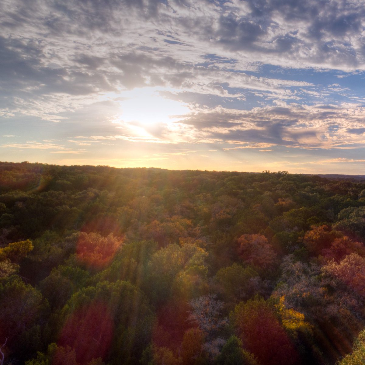 StopFitzhughCon's tweet image. 📸 Happy World Photography Day! We hope you enjoy one of our favorite Hill Country images. Although this image is beautiful, the addition of the proposed concert venue may harm the surrounding environment. Photo credit: Jonathan H. Jackson. 

Join here: stopfitzhughconcertvenue.com